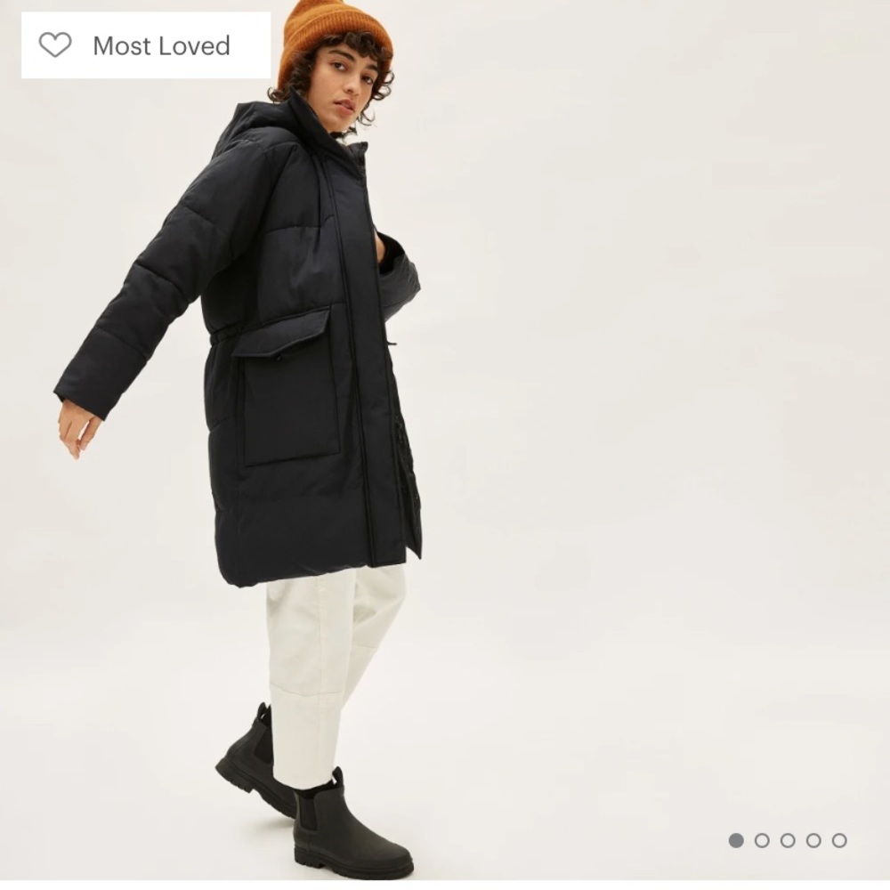 Everlane ReNew Long Puffer